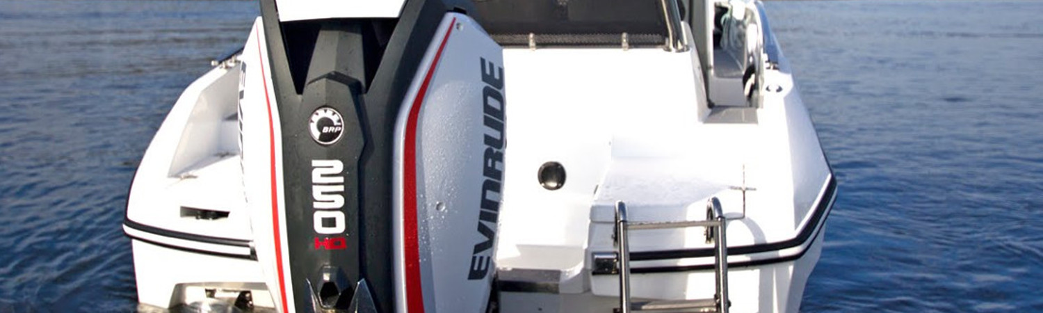 2019 Evinrude 250 HD in sale at Shoeder's RV & Marine, Rhinelander. Wisconsin